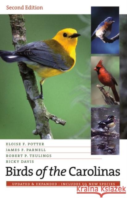 Birds of the Carolinas Eloise F. Potter James F. Parnell Robert P. Teulings 9780807856710 University of North Carolina Press - książka