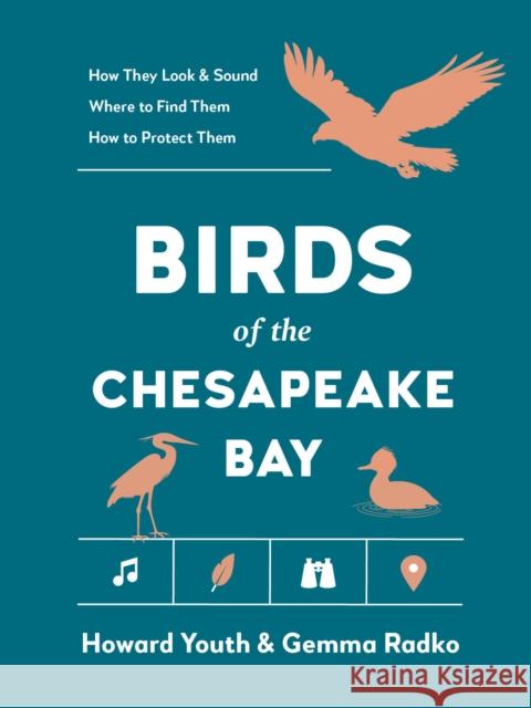 Birds of the Chesapeake Bay Howard Youth Gemma Radko 9781643264158 Timber Press (OR) - książka