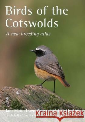 Birds of the Cotswolds: A New Breeding Atlas Iain Main 9781846312106  - książka