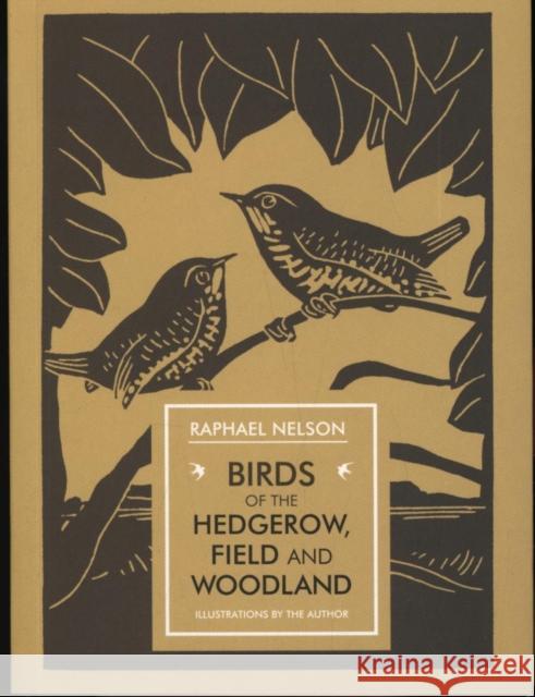 Birds of the Hedgerow, Field and Woodland Raphael Nelson 9781910065242 Unicorn Publishing Group - książka