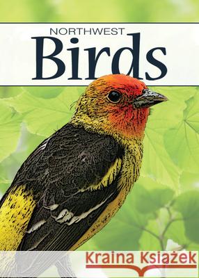 Birds of the Northwest Playing Cards Stan Tekiela 9781591933861 Adventure Publications(MN) - książka