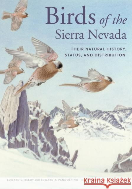 Birds of the Sierra Nevada: Their Natural History, Status, and Distribution Beedy, Ted 9780520274945  - książka