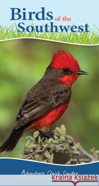 Birds of the Southwest: Your Way to Easily Identify Backyard Birds Tekiela, Stan 9781591934103 Adventure Publications(MN) - książka