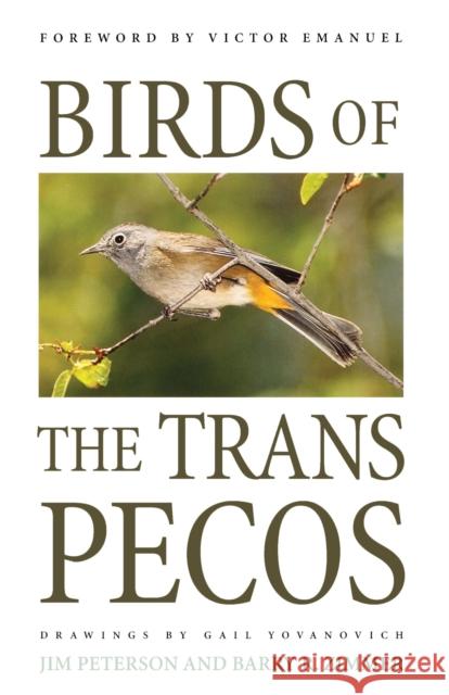 Birds of the Trans-Pecos Jim Peterson Barry R. Zimmer Gail Diane Yovanovich 9780292765849 University of Texas Press - książka