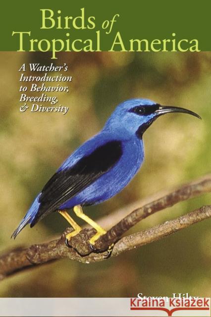 Birds of Tropical America: A Watcher's Introduction to Behavior, Breeding, and Diversity Hilty, Steven 9780292706736 University of Texas Press - książka