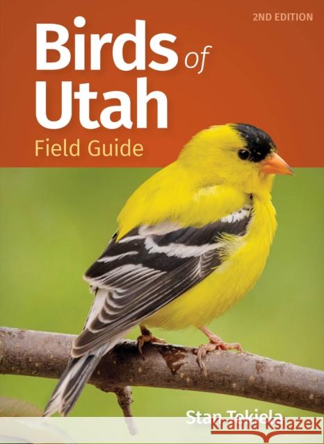 Birds of Utah Field Guide Stan Tekiela 9781647554071 Adventure Publications - książka