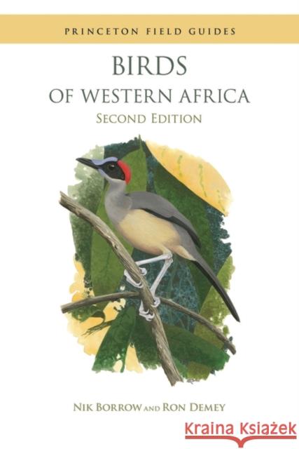Birds of Western Africa: Second Edition Nik Borrow Ron Demey 9780691159201 Princeton University Press - książka