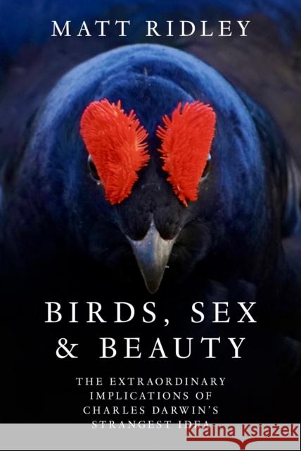 Birds, Sex and Beauty: The extraordinary implications of Charles Darwin's strangest idea Matt Ridley 9780008645533 HarperCollins Publishers - książka