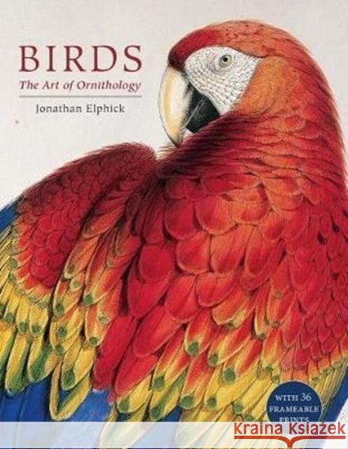 Birds: The Art of Ornithology (Boxed Set) Jonathan Elphick 9780565094331 The Natural History Museum - książka