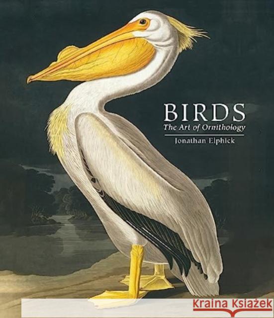 Birds: The Art of Ornithology (Pocket edition) Jonathan Elphick 9780565095512 The Natural History Museum - książka