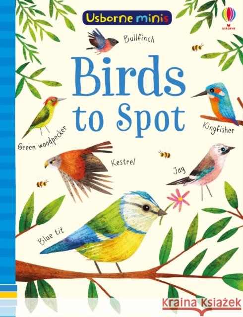 Birds to Spot Smith, Sam 9781474952156 Usborne Publishing Ltd - książka