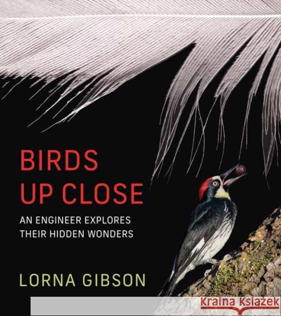 Birds Up Close: An Engineer Explores Their Hidden Wonders Lorna Gibson 9780262049894 MIT Press - książka