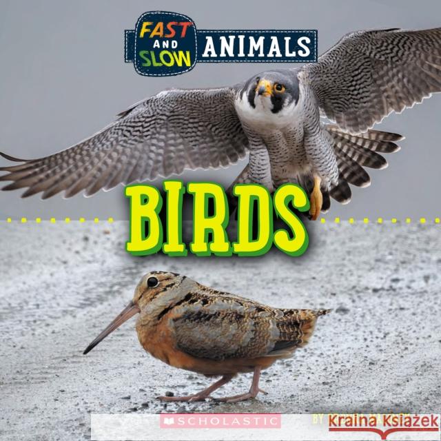 Birds (Wild World: Fast and Slow Animals) Brenna Maloney 9781338836530 Scholastic Inc. - książka