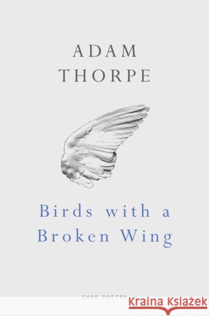 Birds With A Broken Wing Adam Thorpe 9780224079440 VINTAGE - książka