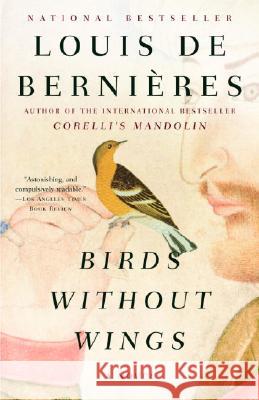 Birds Without Wings Louis d 9781400079322 Vintage Books USA - książka