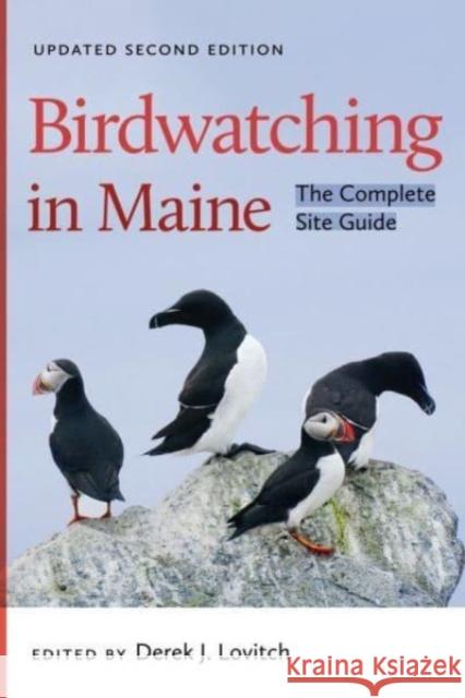 Birdwatching in Maine: The Complete Site Guide Derek J. Lovitch 9781684581993 Brandeis University Press - książka