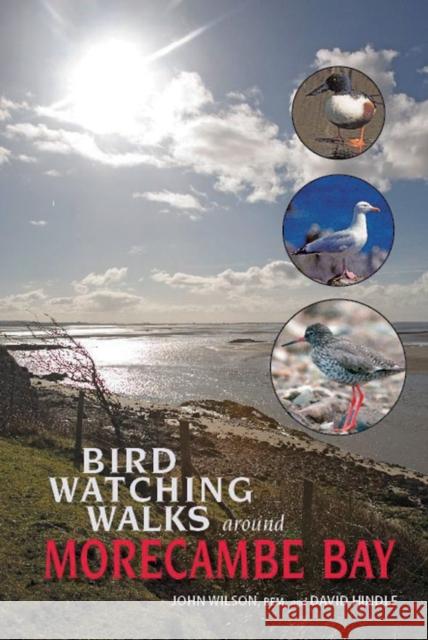 Birdwatching Walks Around Morecambe Bay John Wilson 9781874181378  - książka