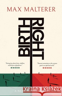 Birthright: A Near-Future Novel Max Malterer 9783912376012 Mmb Publishing - książka