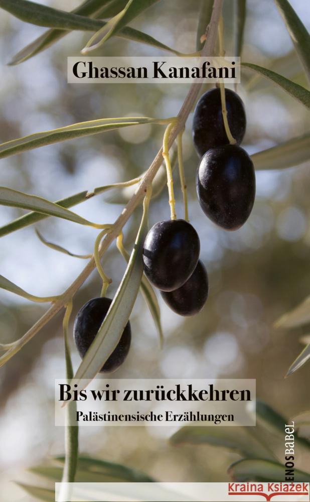 Bis wir zurückkehren Kanafani, Ghassan 9783857878497 Lenos - książka