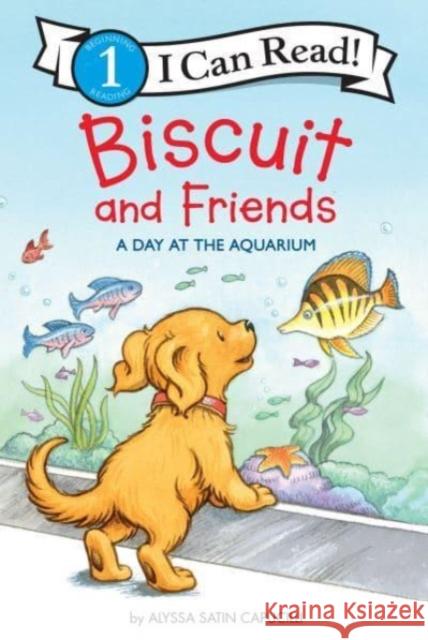 Biscuit and Friends: A Day at the Aquarium Alyssa Satin Capucilli 9780062910066 HarperCollins Publishers Inc - książka
