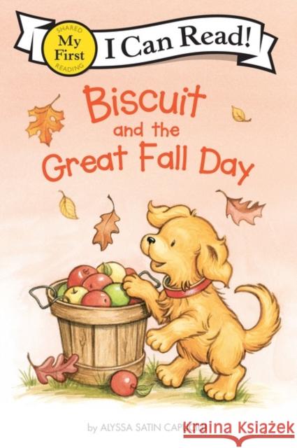 Biscuit and the Great Fall Day Alyssa Satin Capucilli Pat Schories 9780062910042 HarperCollins - książka