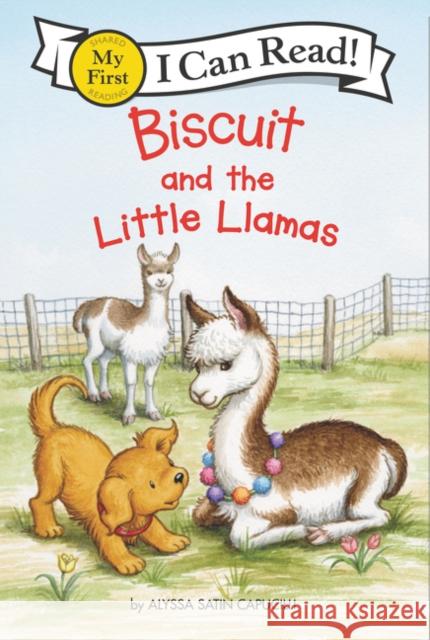 Biscuit and the Little Llamas Alyssa Satin Capucilli Pat Schories 9780062909985 HarperCollins - książka