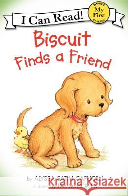 Biscuit Finds a Friend Alyssa Satin Capucilli Pat Schories 9780064442435 HarperTrophy - książka