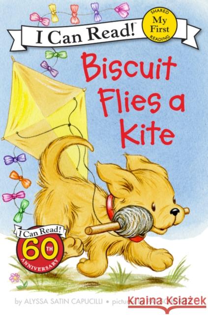 Biscuit Flies a Kite Alyssa Satin Capucilli Pat Schories 9780062237002 HarperCollins - książka