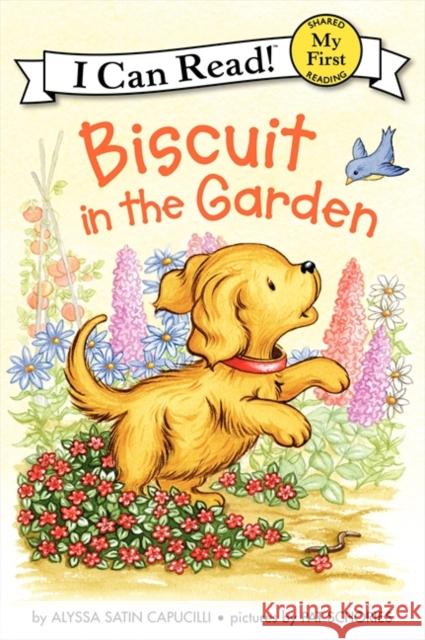 Biscuit in the Garden Alyssa Satin Capucilli Pat Schories 9780061935046 HarperCollins - książka
