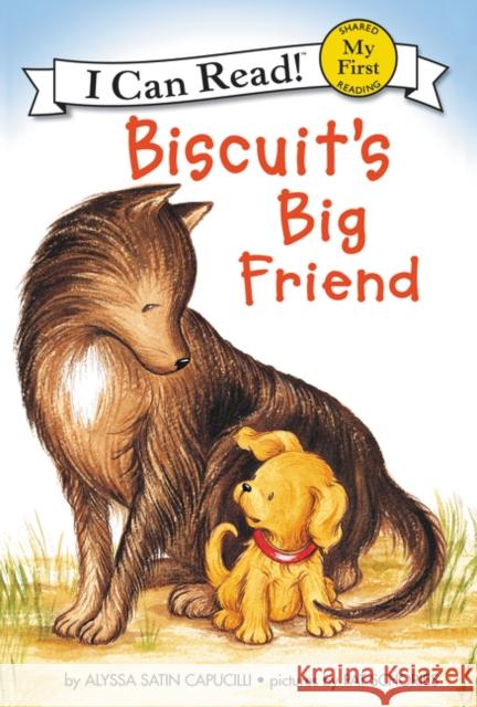 Biscuit's Big Friend Alyssa Satin Capucilli Pat Schories 9780064442886 HarperCollins Publishers - książka