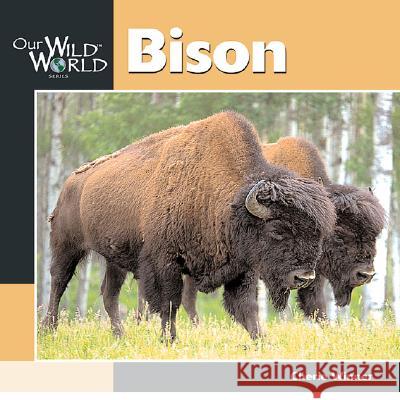 Bison Cherie Winner John F. McGee 9781559717755 Northword Press - książka