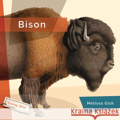 Bison Melissa Gish 9781682770726 Creative Paperbacks - książka