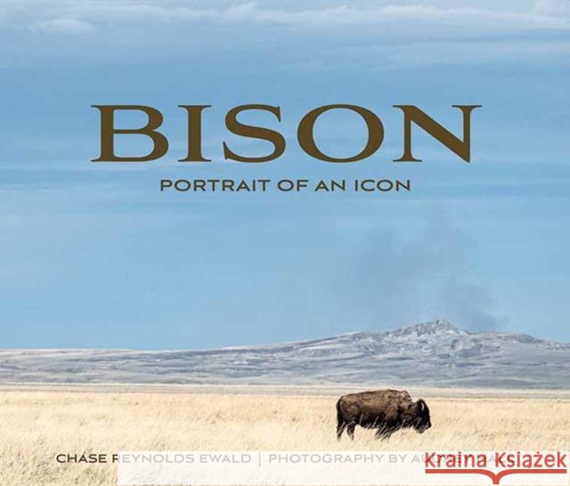 Bison: Portrait of an Icon Audrey Hall Chase Reynolds Ewald 9781423653752 Gibbs Smith - książka