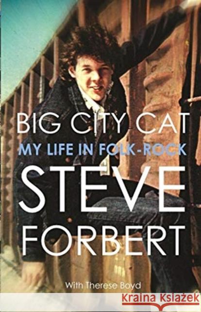 Bit City Cat Steve Forbert 9780997024876 Pfp Publishing - książka