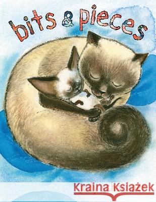 Bits & Pieces Judy Schachner 9781948959872 Purple House Press - książka