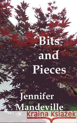 Bits and Pieces: A Young Girl's Musings Jennifer Marie Mandeville C. H. Foertmeyer 9781720972167 Createspace Independent Publishing Platform - książka