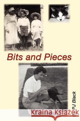 Bits and Pieces: Some of My Favorite Things P. J. Black 9781475139525 Createspace - książka