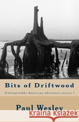 Bits of Driftwood MR Paul Herbert Wesley 9781482716399 Createspace - książka