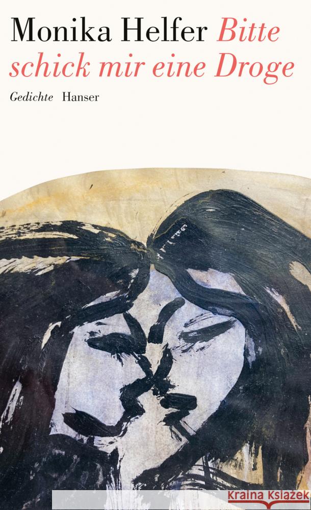 Bitte schick mir eine Droge Helfer, Monika 9783446284197 Hanser - książka