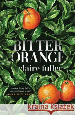 Bitter Orange Claire Fuller 9781947793156 Tin House Books - książka