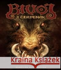 Bivoj Juraj Červenák 9788074563249 Brokilon - książka