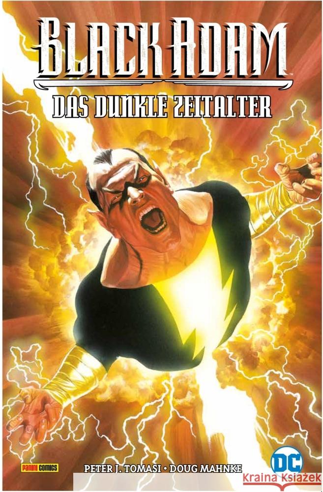 Black Adam: Das Dunkle Zeitalter Tomasi, Peter J., Mahnke, Doug 9783741624681 Panini Manga und Comic - książka