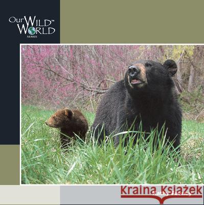 Black Bear Feeney, Kathy 9781559717427 Northword Press - książka