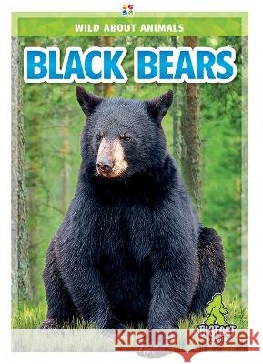 Black Bears Renata Marie 9781645194996 Bigfoot Books - książka