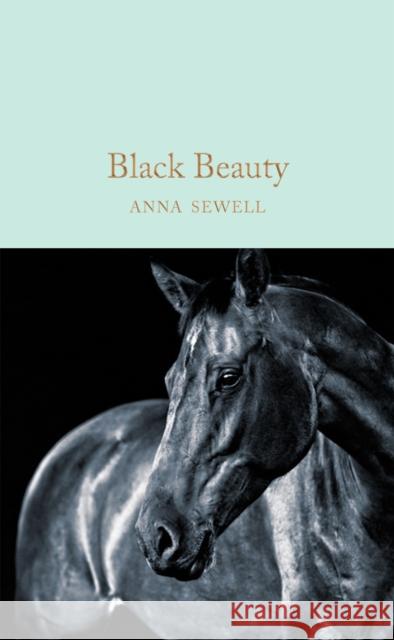 Black Beauty Lauren S 9781509865987 MacMillan Collector's Library - książka