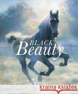 Black Beauty Anna Sewell Christian Birmingham 9781536211245 Candlewick Press (MA) - książka