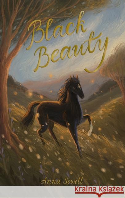 Black Beauty Anna Sewell 9781840228175 Wordsworth Editions Ltd - książka