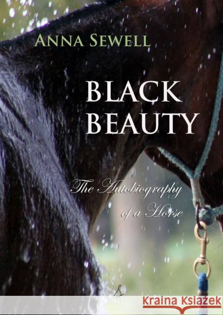 Black Beauty: The Autobiography of a Horse Sewell, Anna 9781909438989 Sovereign - książka