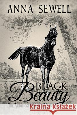 Black Beauty, The Autobiography of a Horse: Illustrated Sewell, Anna 9781512005172 Createspace - książka