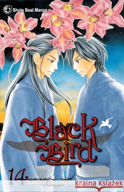 Black Bird, Vol. 14 Kanoko Sakurakouji 9781421542751 Viz Media, Subs. of Shogakukan Inc - książka